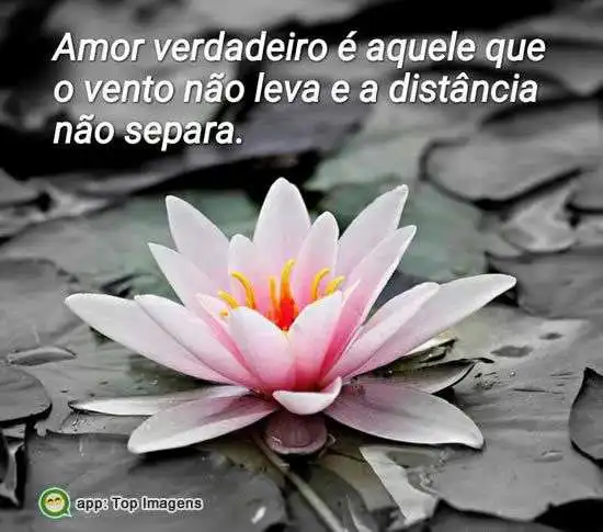 Verdadeiro amor