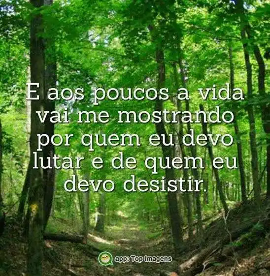 A vida vai me mostrando