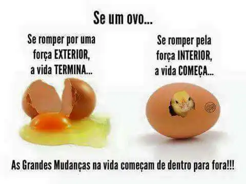 As grandes mudanças na vida