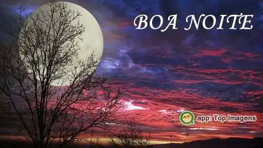 Boa noite