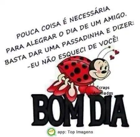 Bom dia