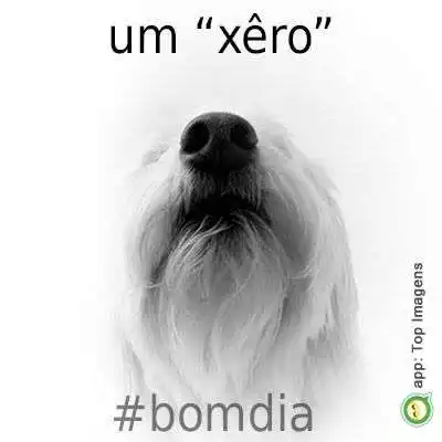 Bom dia
