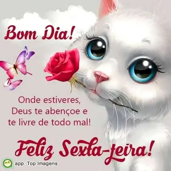 Bom dia e feliz sexta-feira