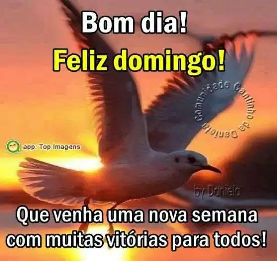 Bom dia, feliz domingo