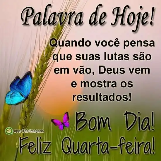 Bom dia, feliz quarta-feira