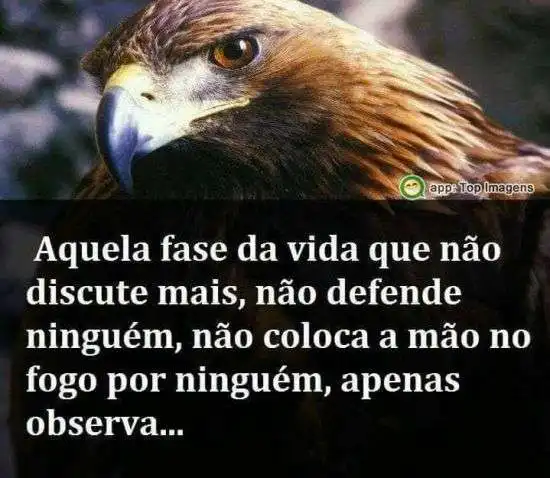 Fase que somente observa