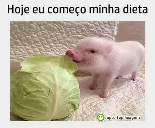Hoje começo minha dieta