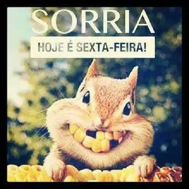 Hoje é sexta-feira