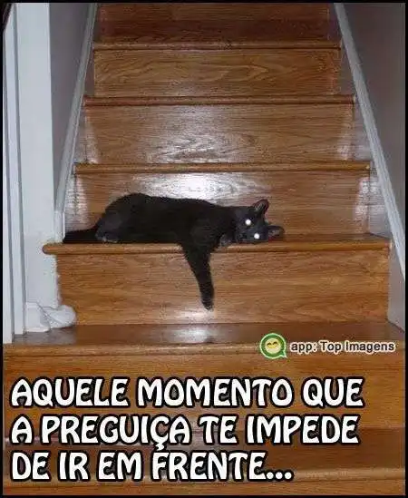 Momento de preguiça