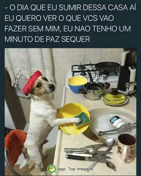 O dia que eu sumir