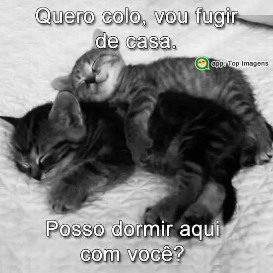 Posso dormir aqui, com você