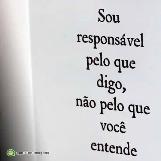 Responsável pelo que digo