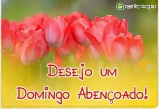 Te desejo um domingo abençoado