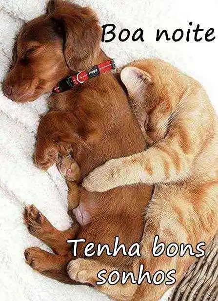 Tenha bons sonhos
