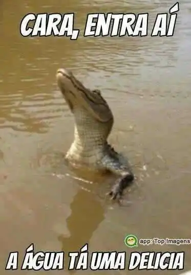 A água tá uma delicia