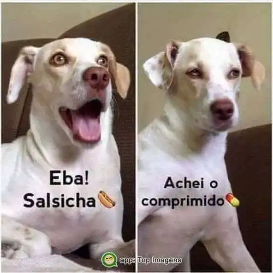 Achando o comprimido