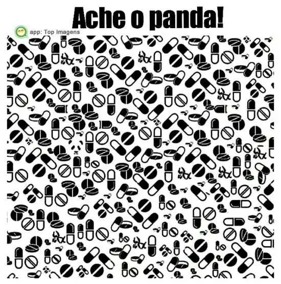Ache o panda