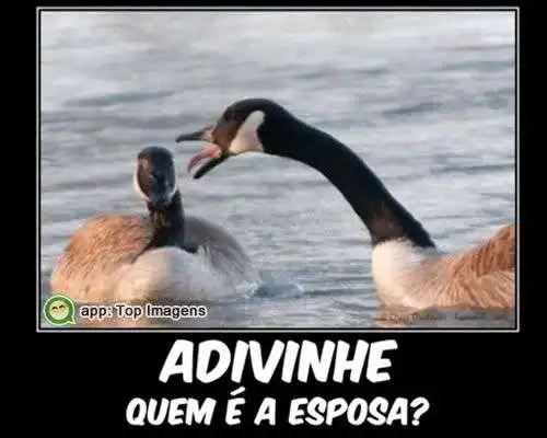 Adivinhe quem é a esposa