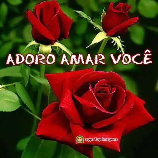 Adoro amar você