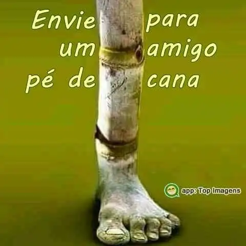 Amigo pé de cana
