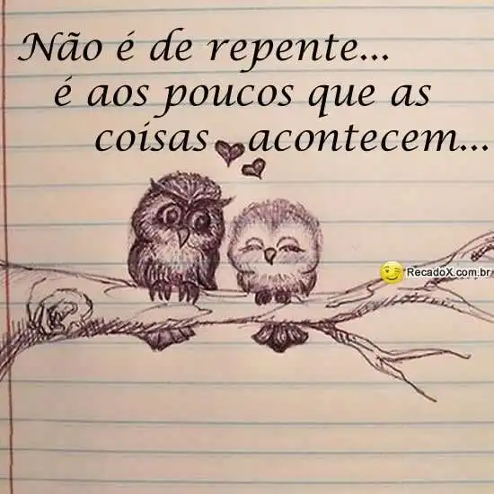 Aos poucos as coisas acontecem