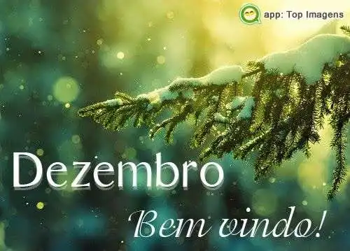 Bem-vindo dezembro