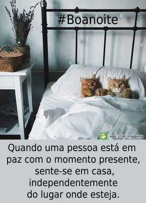 Boa noite