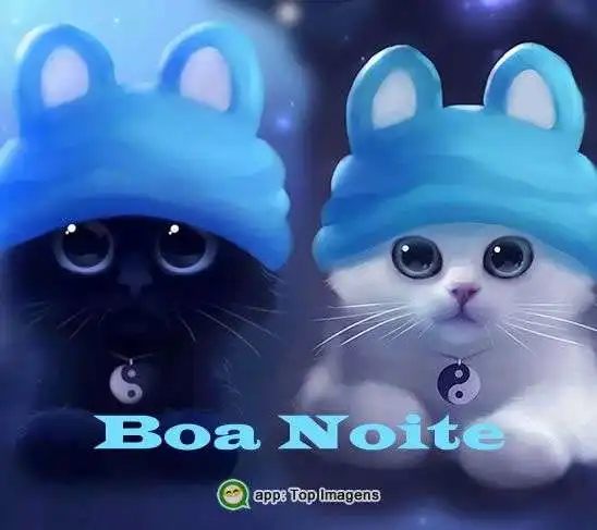 Boa noite