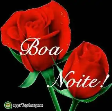 Boa noite
