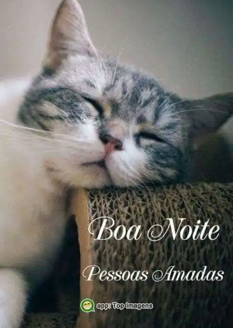 Boa noite pessoas amadas