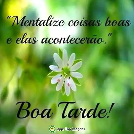 Boa tarde