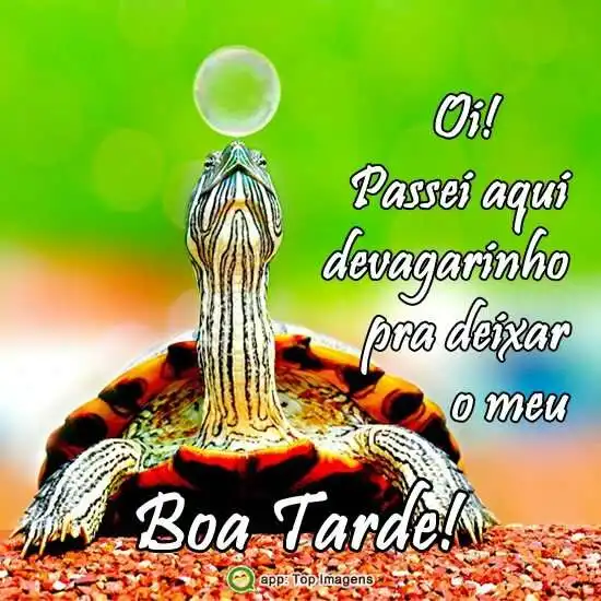 Boa tarde