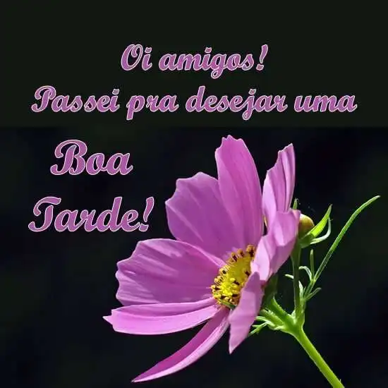 Boa tarde amigos