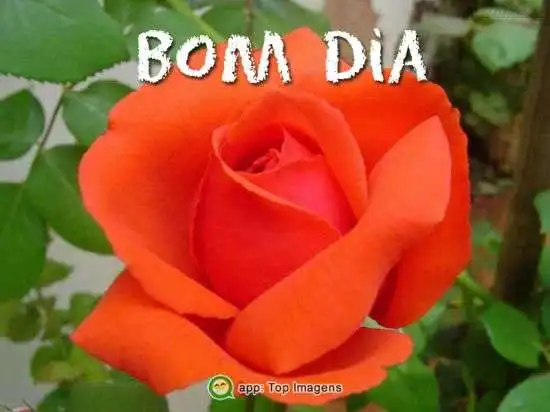 Bom dia