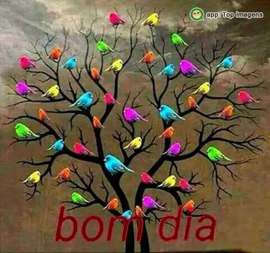 Bom dia