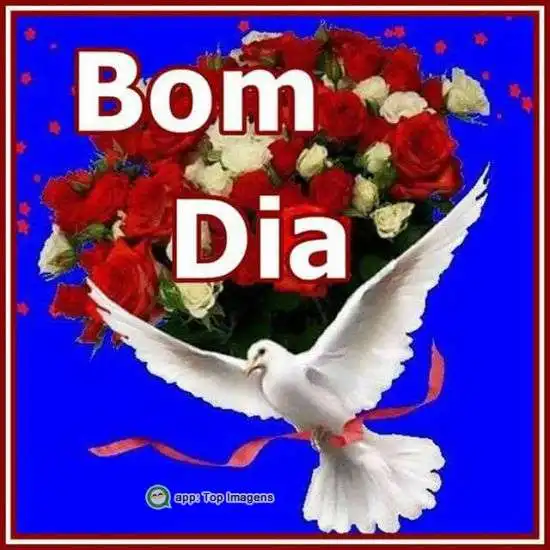 Bom dia