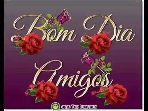 Bom dia amigos