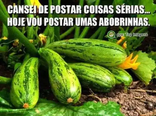 Cansei de postar coisas sérias