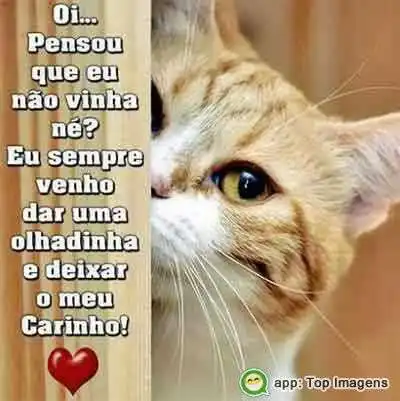 Deixar o meu carinho