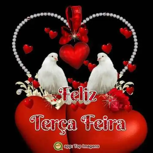 Feliz terça-feira