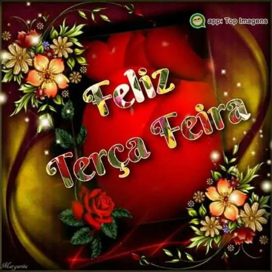 Feliz terça-feira