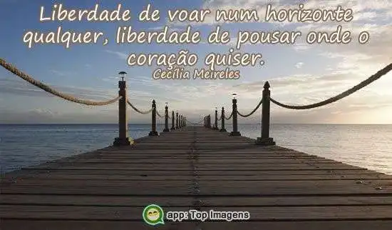 Liberdade de voar