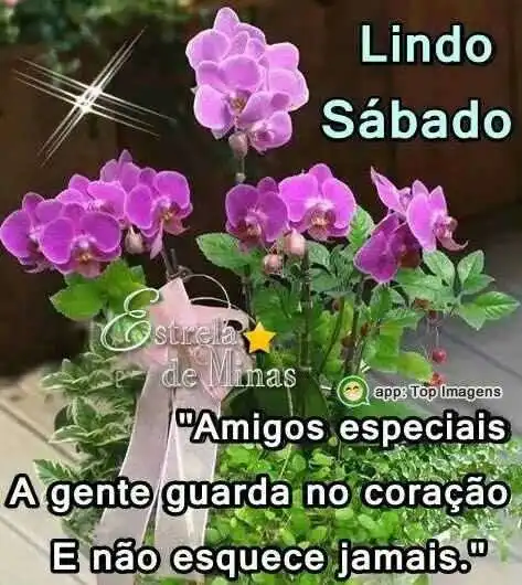 Lindo sábado