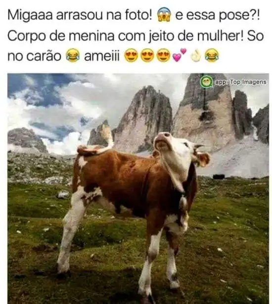 Miga arrasou na foto