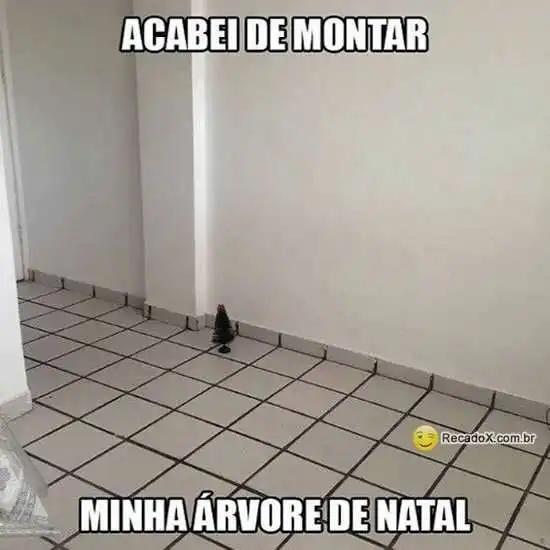 Minha árvore de natal