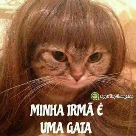 Minha irmã é uma gata