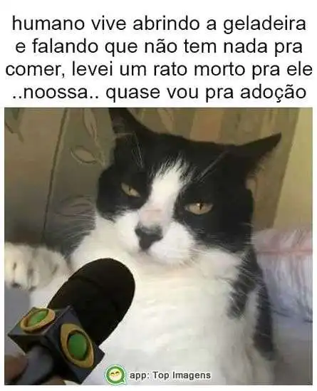 Nada pra comer