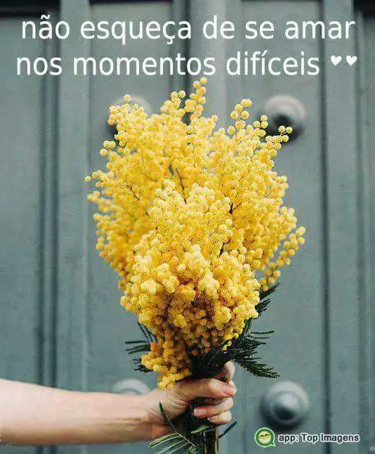 Não esqueça de se amar
