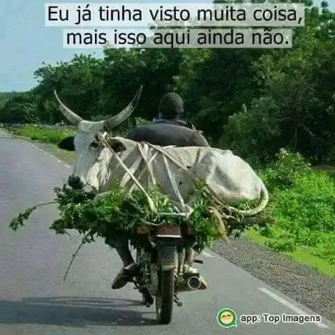 Nunca tinha visto isso