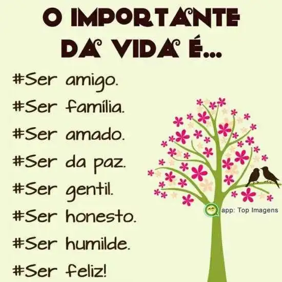 O importante da vida